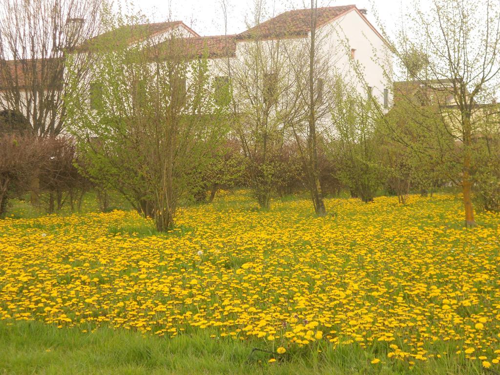 Villa Gaudio Ponte San Nicolò Zewnętrze zdjęcie